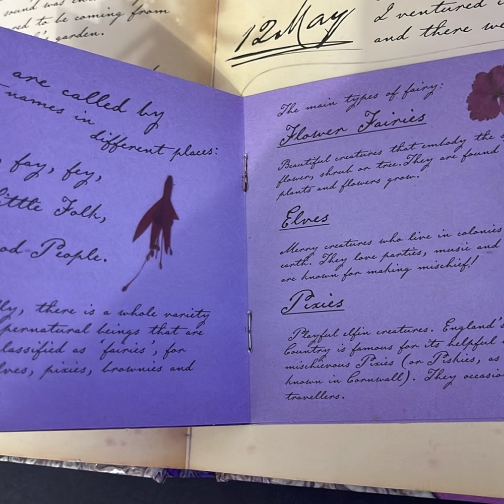FAIRYOPOLIS A FLOWER FAIRIES JOURNAL - Picture 6 of 8
